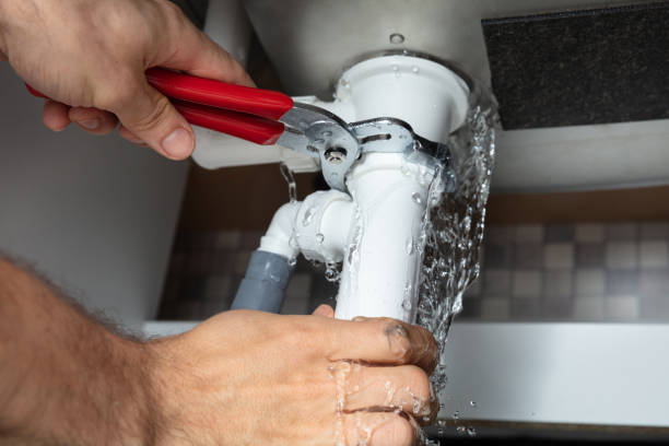 Best Water damage mitigation services  in , VA