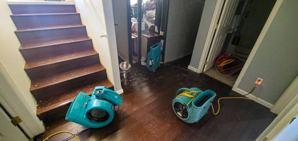 Best Fire Damage Restoration  in , VA