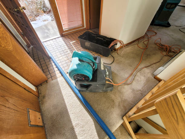 Best Water damage restoration near me  in , VA