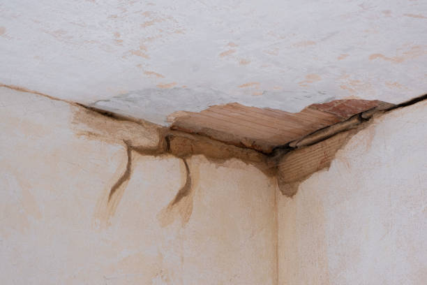 Best Local water damage restoration  in , VA