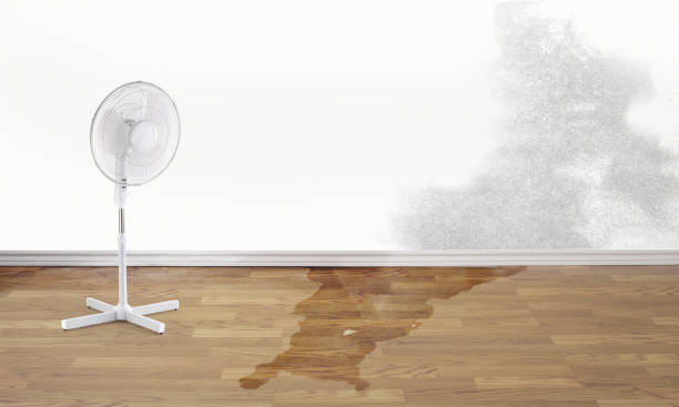 Best Flood damage cleanup  in , VA