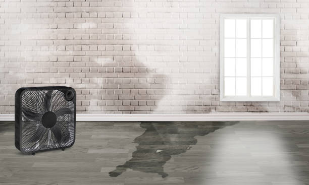 , VA Water damage restoration Pros