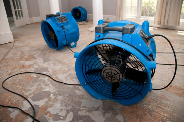 Best Mold removal after water damage  in , VA