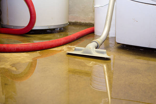 Best Water damage restoration experts  in , VA
