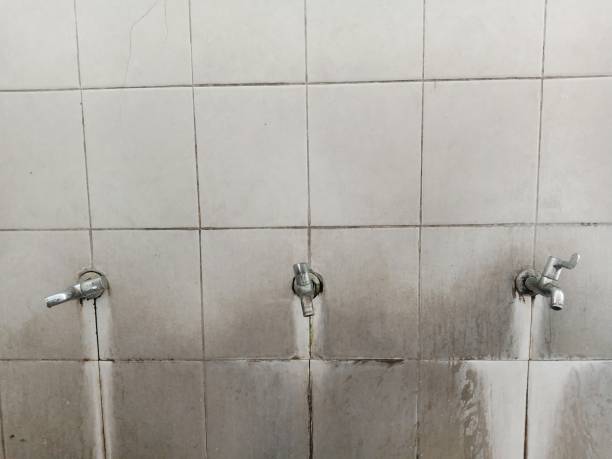 Best Basement water damage restoration  in , VA