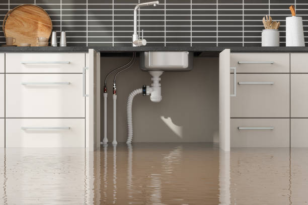 Best Water damage cleanup near me  in , VA