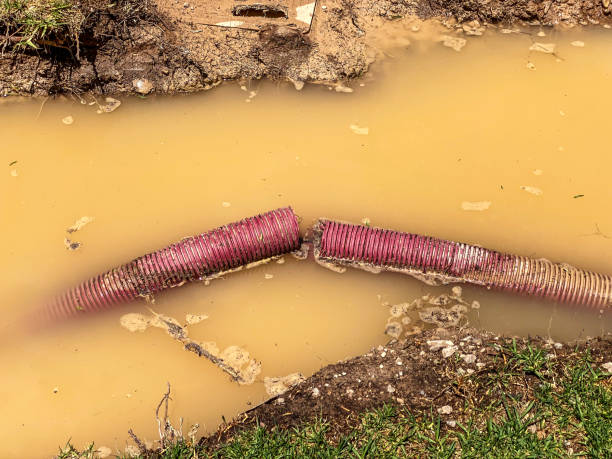 Best 24/7 water damage repair  in , VA