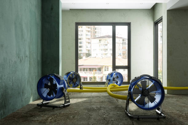 Best Water damage cleanup near me  in , VA